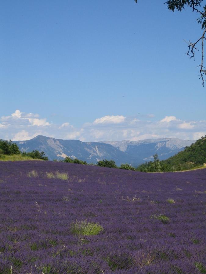 Montfort  Les Vieux Murs חדר תמונה