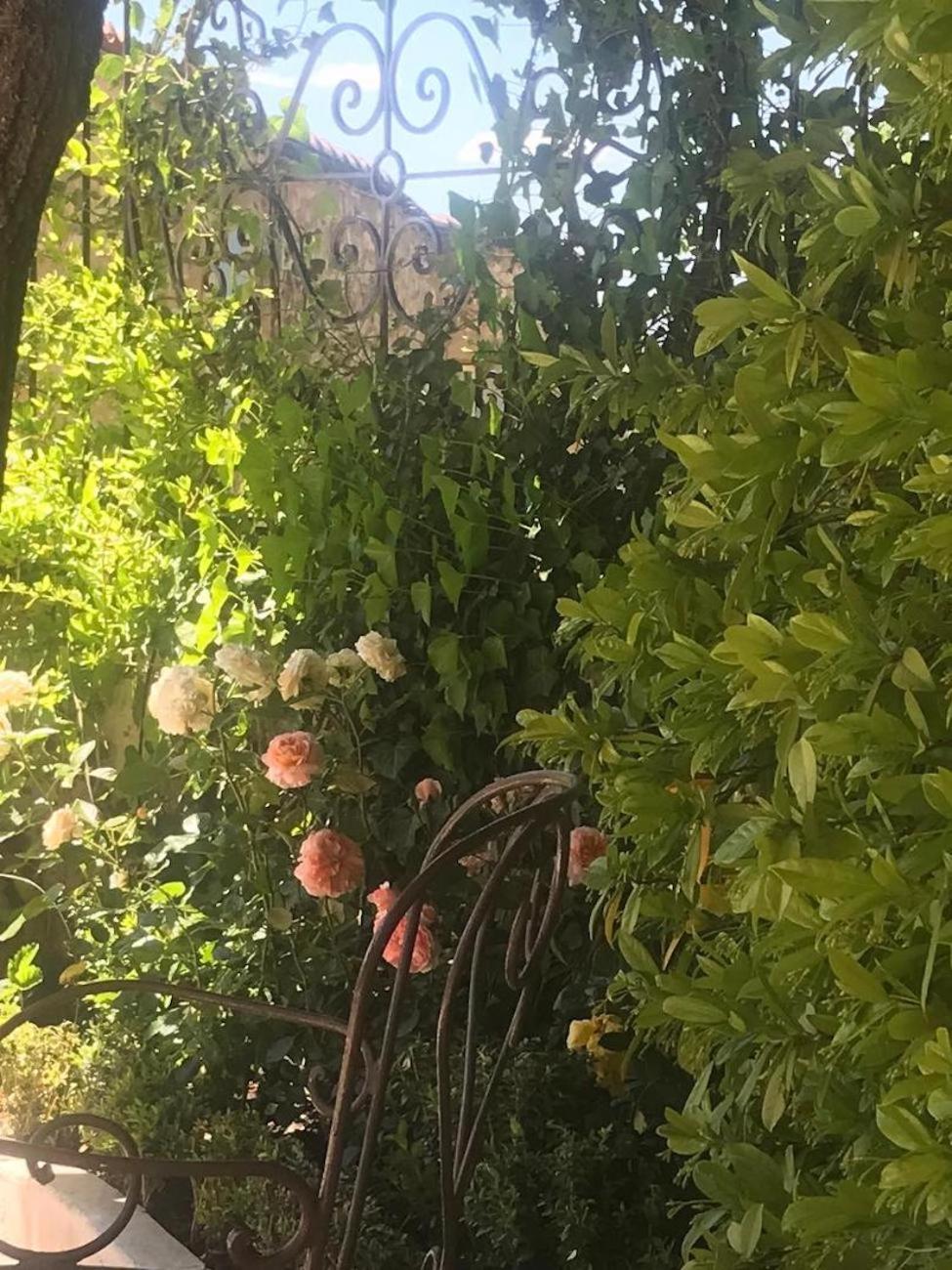 Montfort  Les Vieux Murs מראה חיצוני תמונה