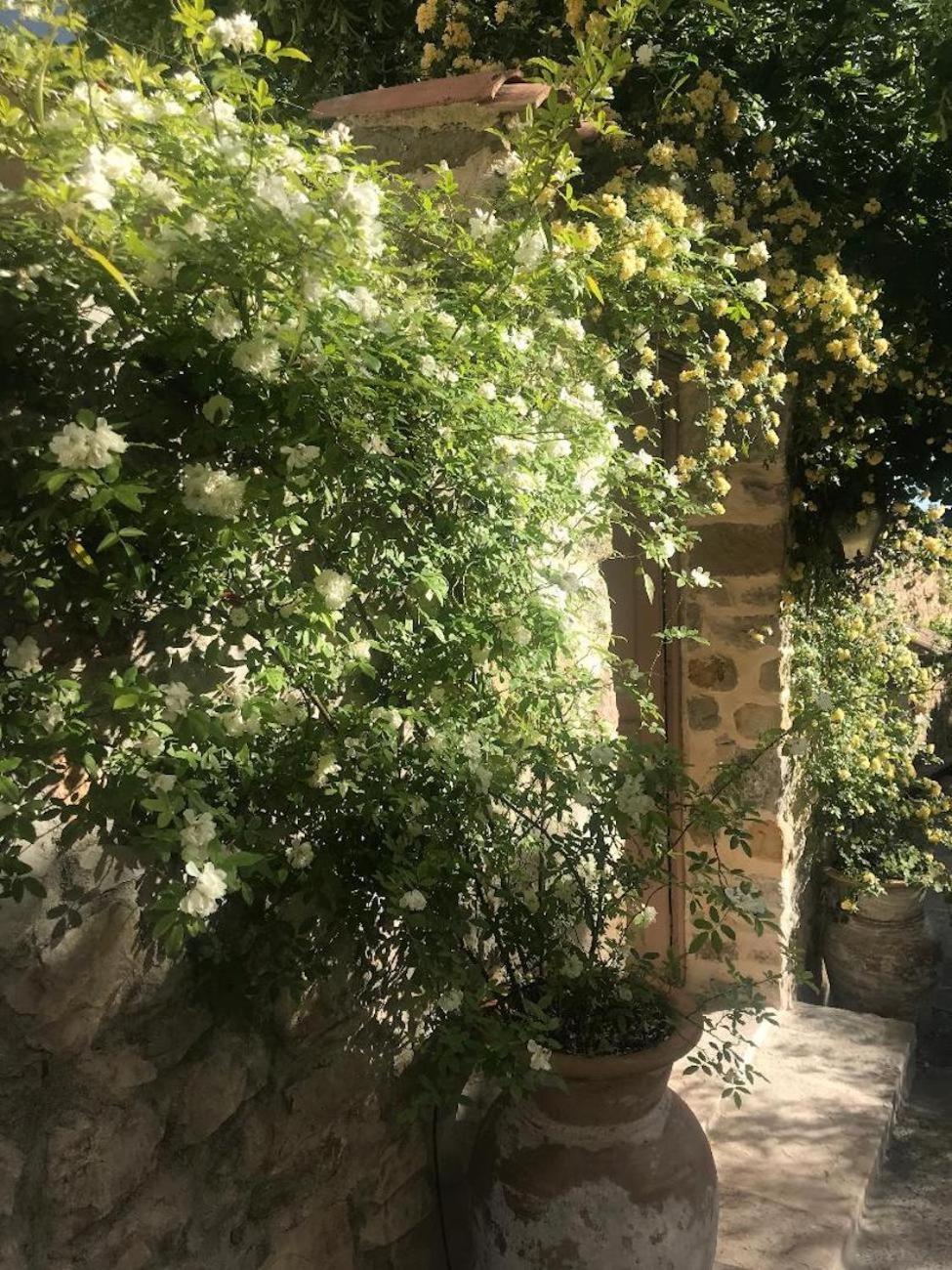 Montfort  Les Vieux Murs מראה חיצוני תמונה