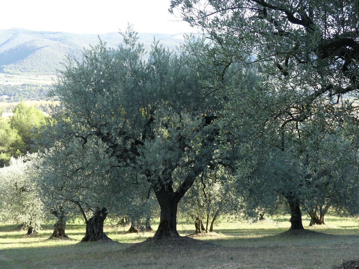 Montfort  Les Vieux Murs מראה חיצוני תמונה