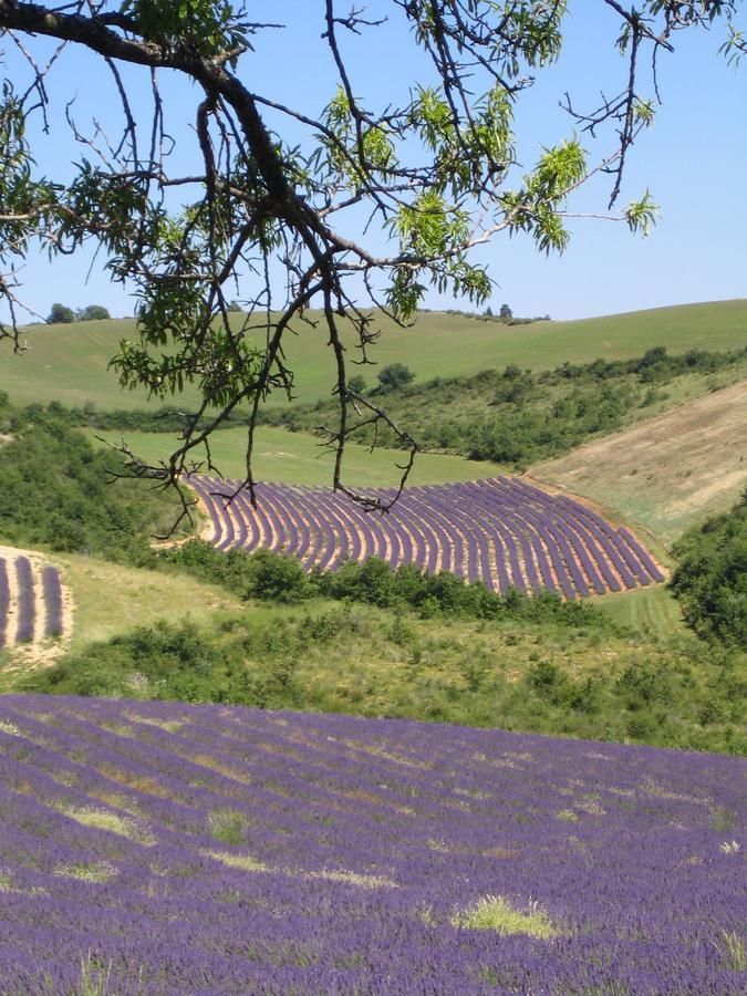 Montfort  Les Vieux Murs מראה חיצוני תמונה