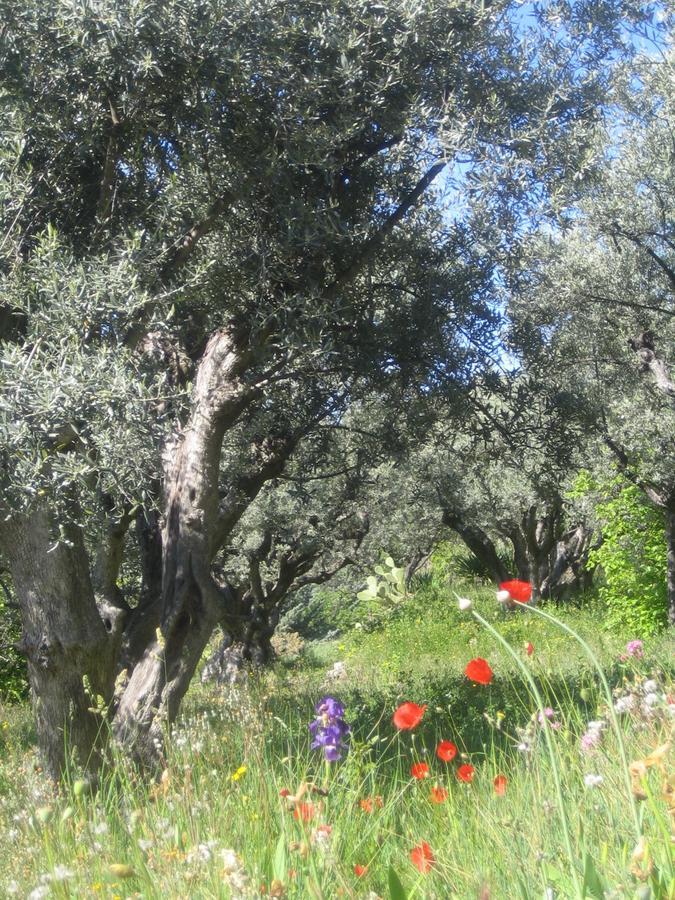 Montfort  Les Vieux Murs מראה חיצוני תמונה
