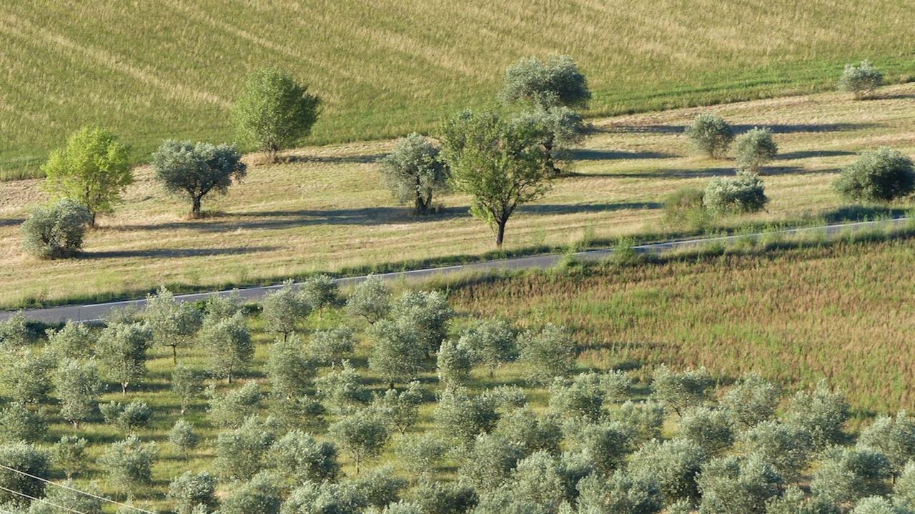 Montfort  Les Vieux Murs מראה חיצוני תמונה